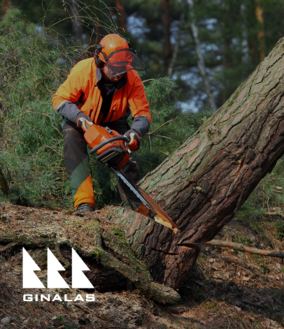 Official STIHL importer in Lithuania, offering a range of garden and forestry equipment.