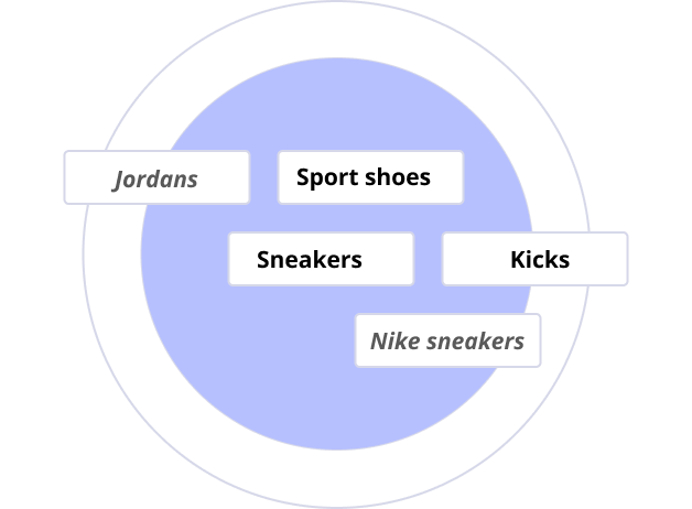 Various synonyms for the word sport shoes