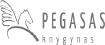 Pegasas logo